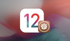 Jailbreak for iOS 12