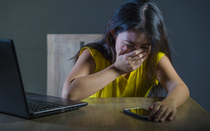 Cyberbullying in the Virtual Classroom